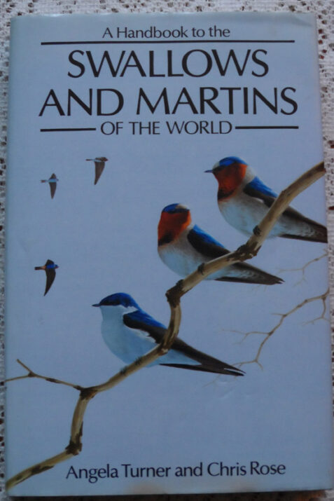 A Handbook to the Swallows and Martins of the World by Angela Turner and Chris Rose