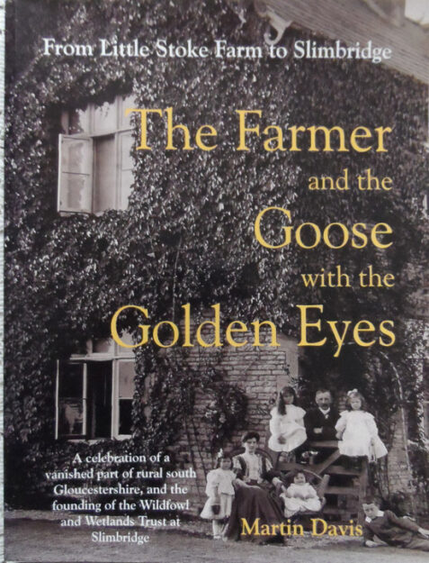 The Farmer and the Goose with the Golden Eyes: Little Stoke Farm to Slimbridge By Martin Davis