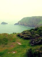 Devon