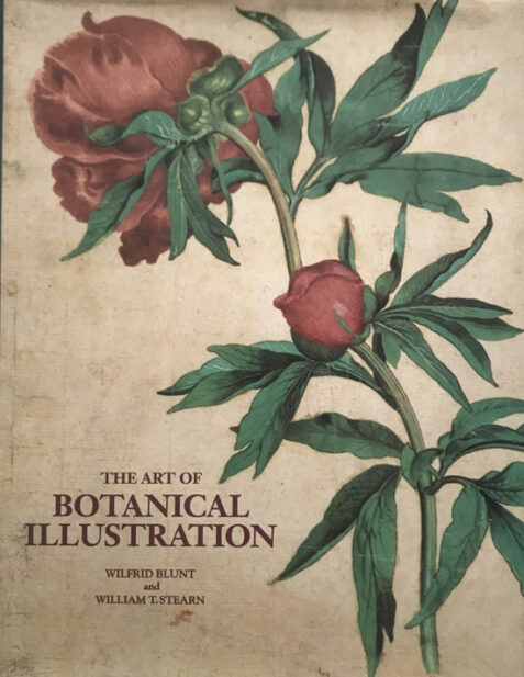 The Art of Botanical Illustration By Wilfrid Blunt
