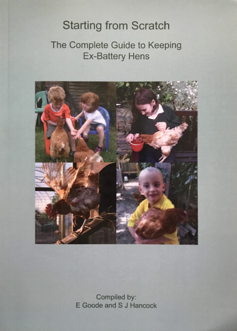 Starting from Stratch: The Complete Guide to Keeping Ex-Battery Hens