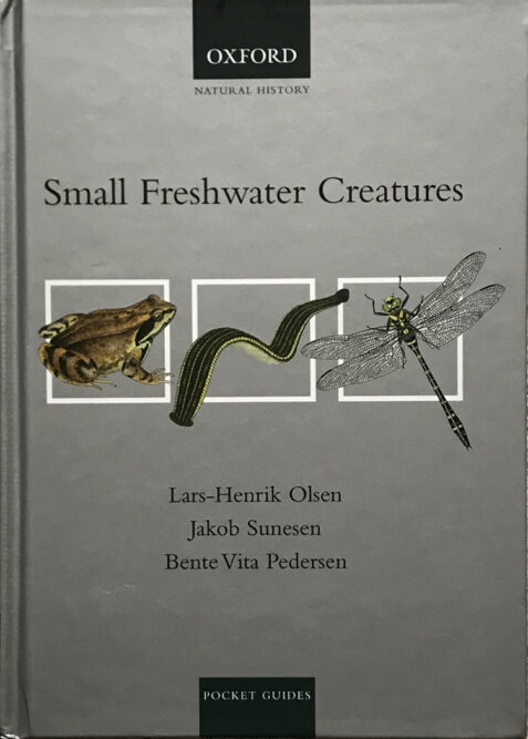 Small Freshwater Creatures By Lars-Henrik Olsen