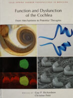 Function and Dysfunction of the Cochlea: From Mechanisms to Potential Therapies