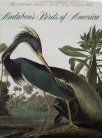Audubon's Birds of America: The National Audubon Society Baby Elephant Folio