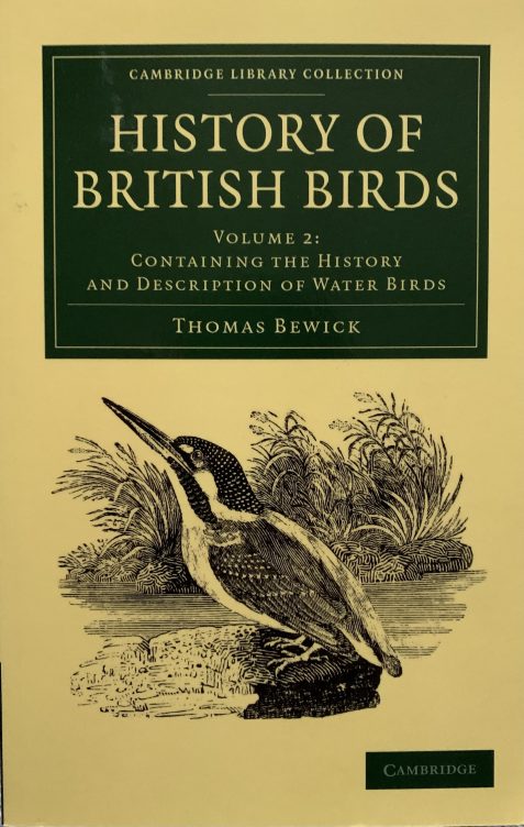History of British Birds Volume 2: Containing the History and Description of Water Birds By Thomas Berwick