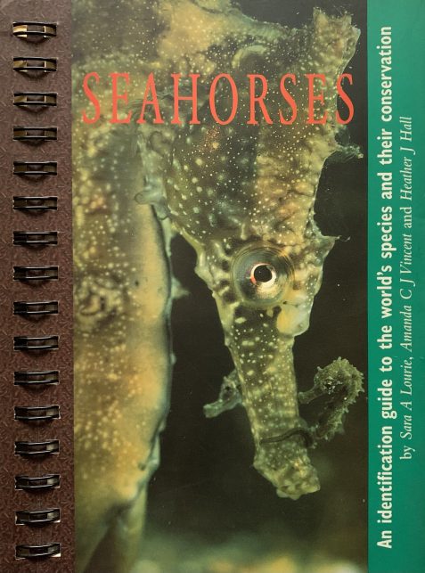 Seahorses: An Identification Guide to the World's Species and their Conservation