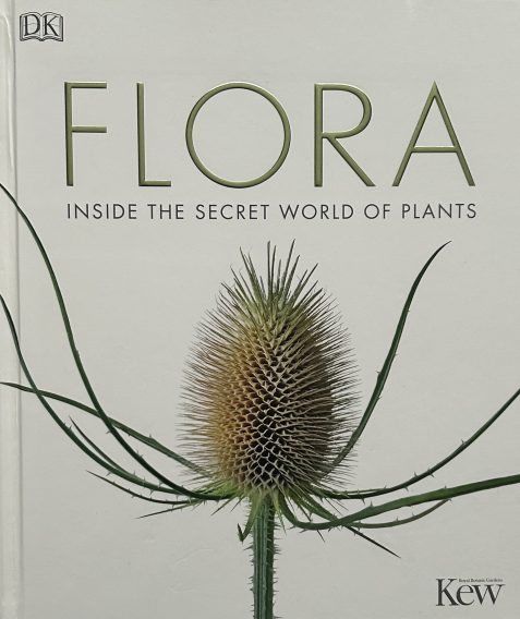 Flora: Inside the Secret World of Plants by DK