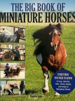 The Big Book Of Miniature Horses by Kendra Gale